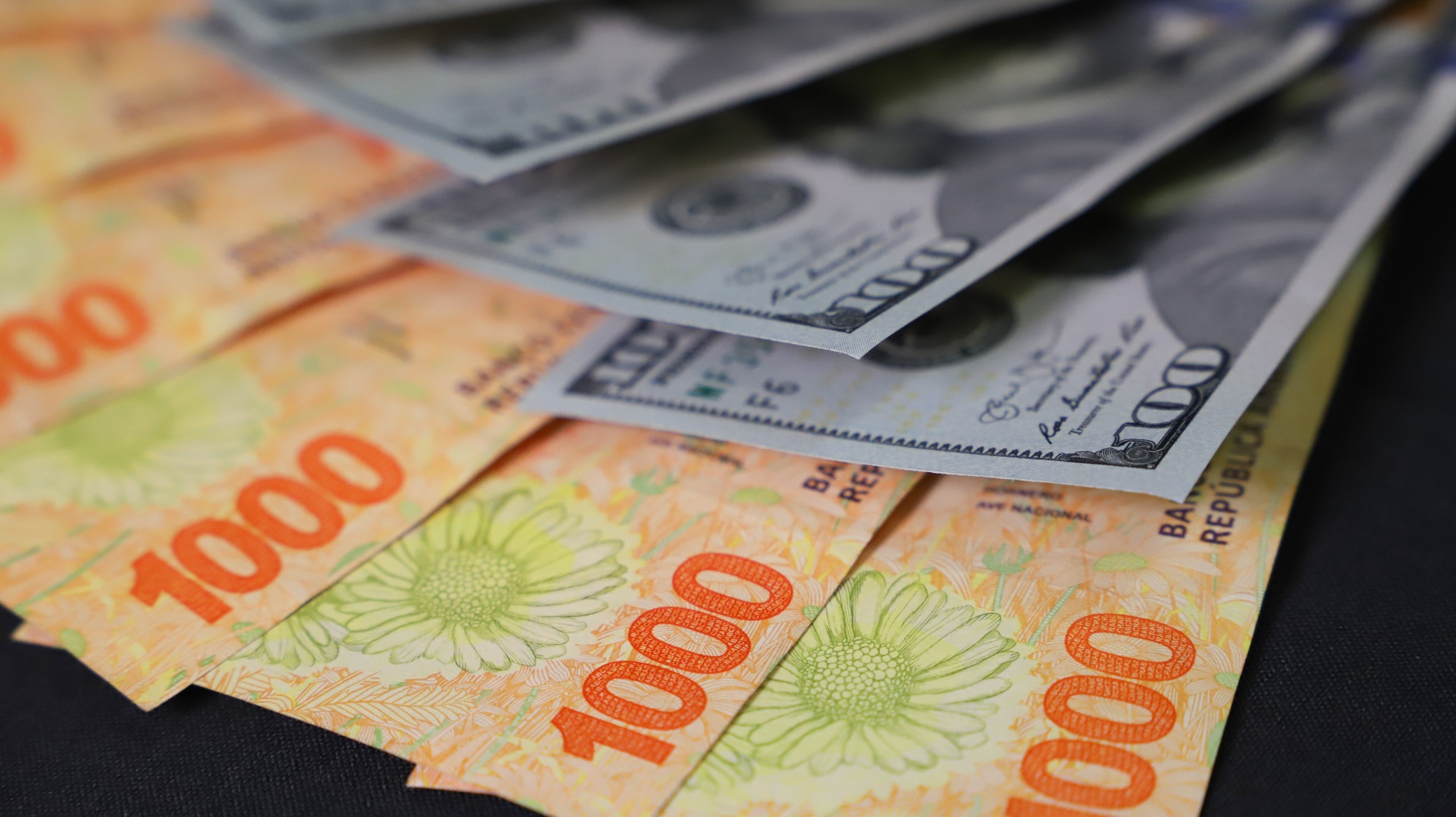 image preview(placeholder)