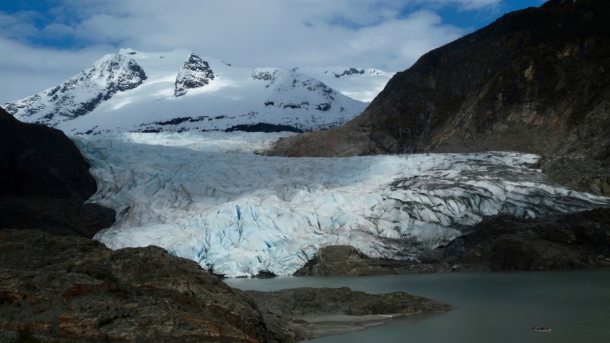 image preview(placeholder)