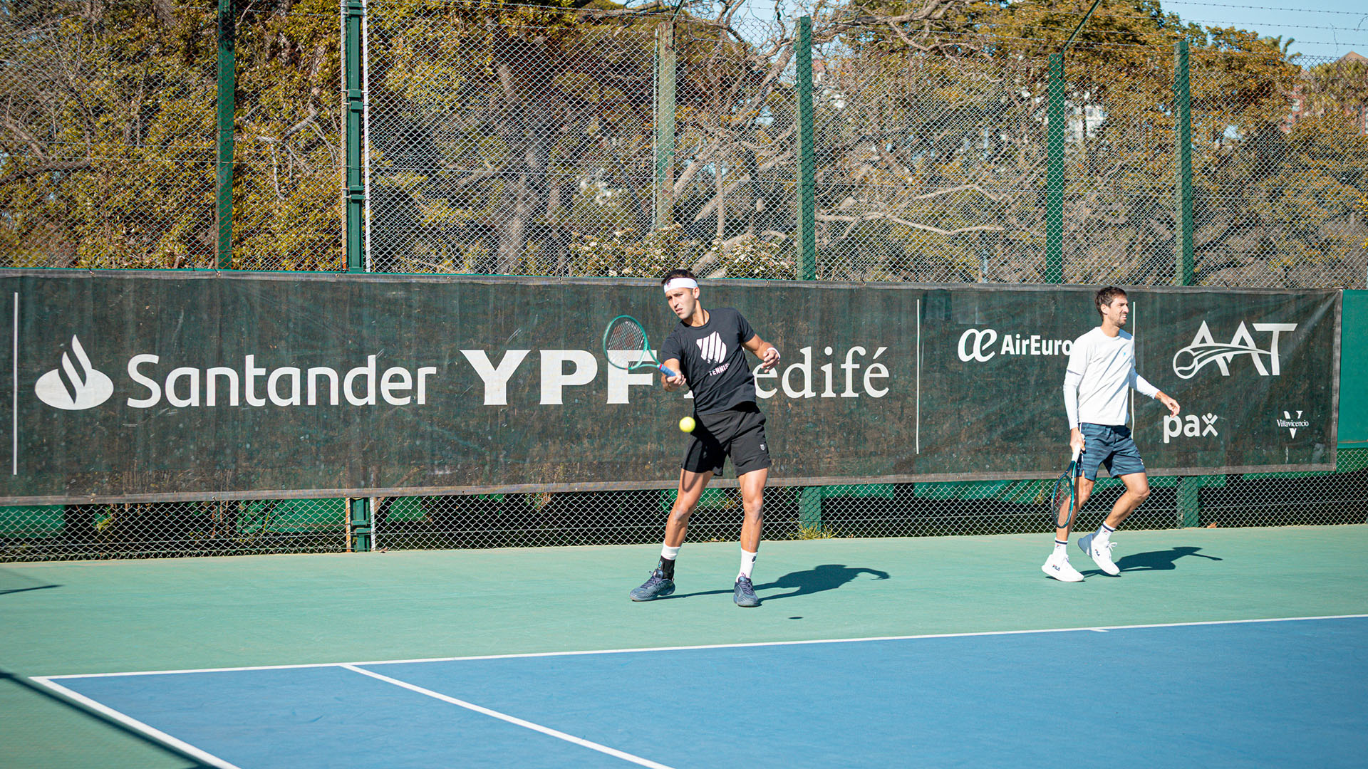 image preview(placeholder)