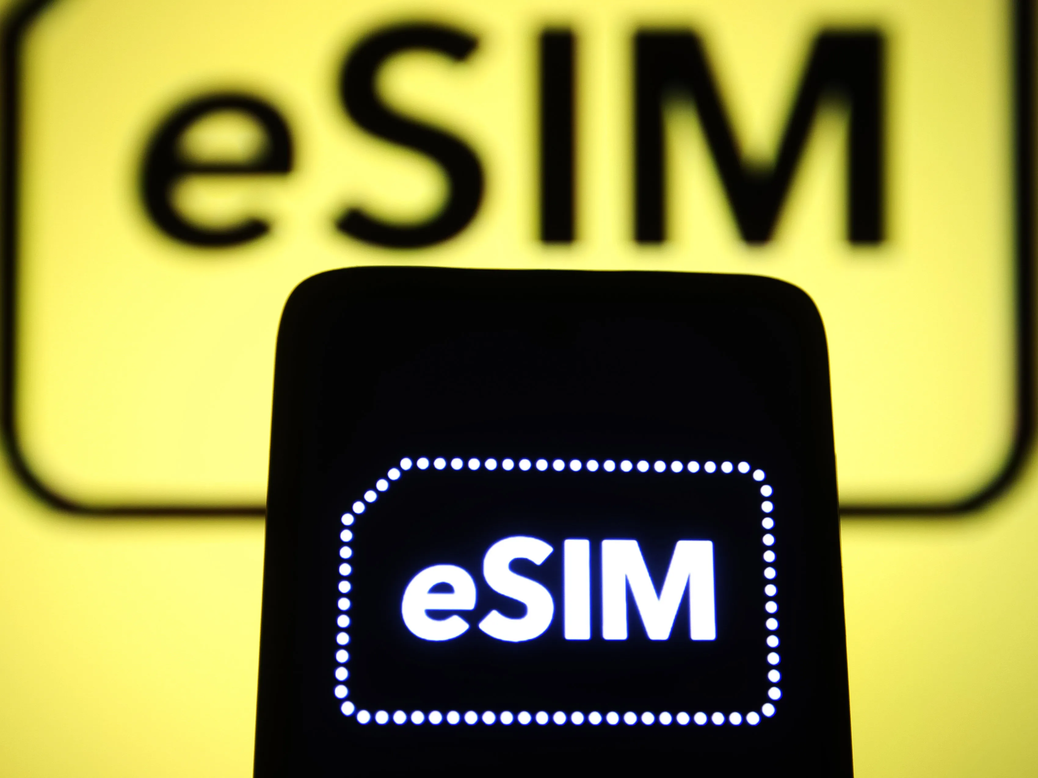 image preview(placeholder)