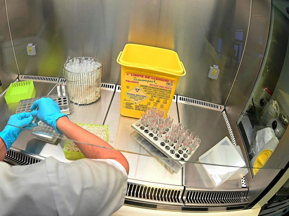 Caso fentanilo: analizan el rol de los inspectores de laboratorios de García Furfaro