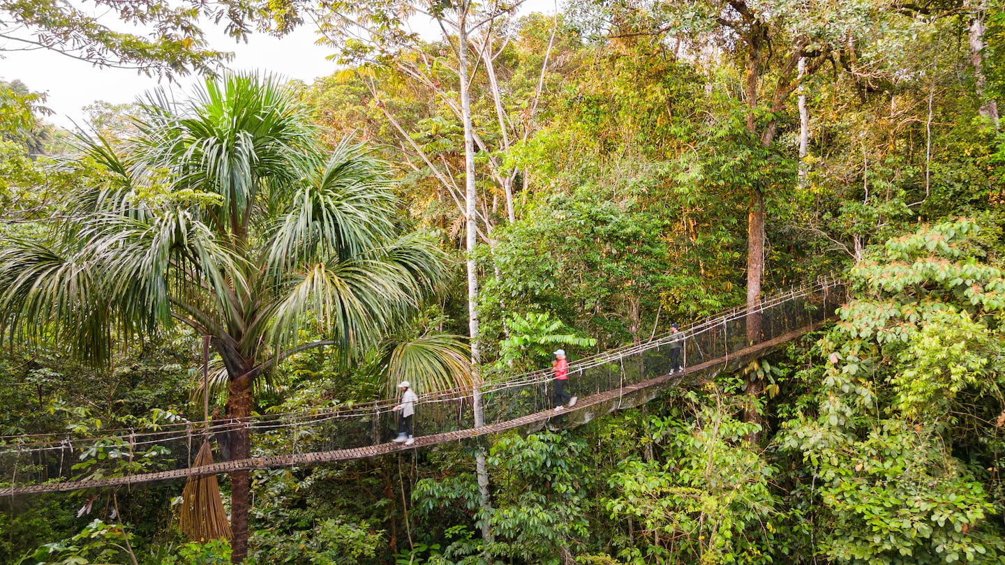 Lujo en la selva: una manera única de conocer la Amazonía peruana