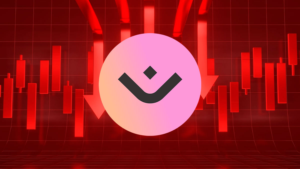 image preview(placeholder)