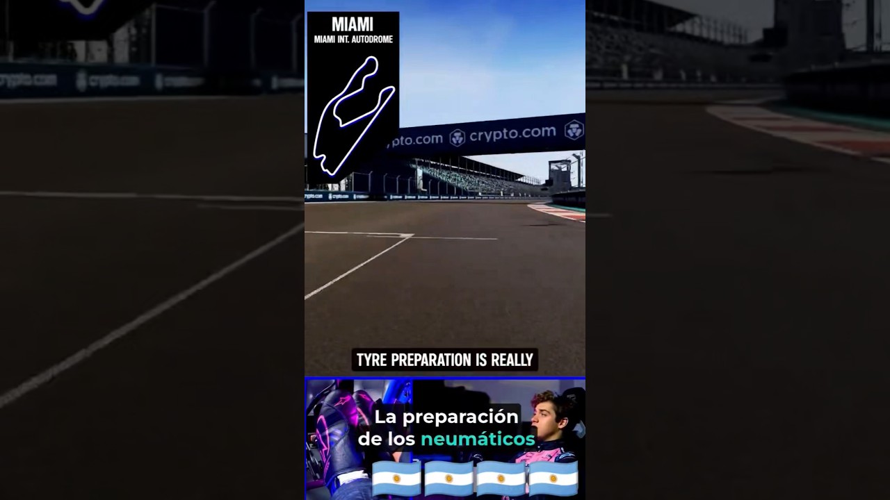 image preview(placeholder)