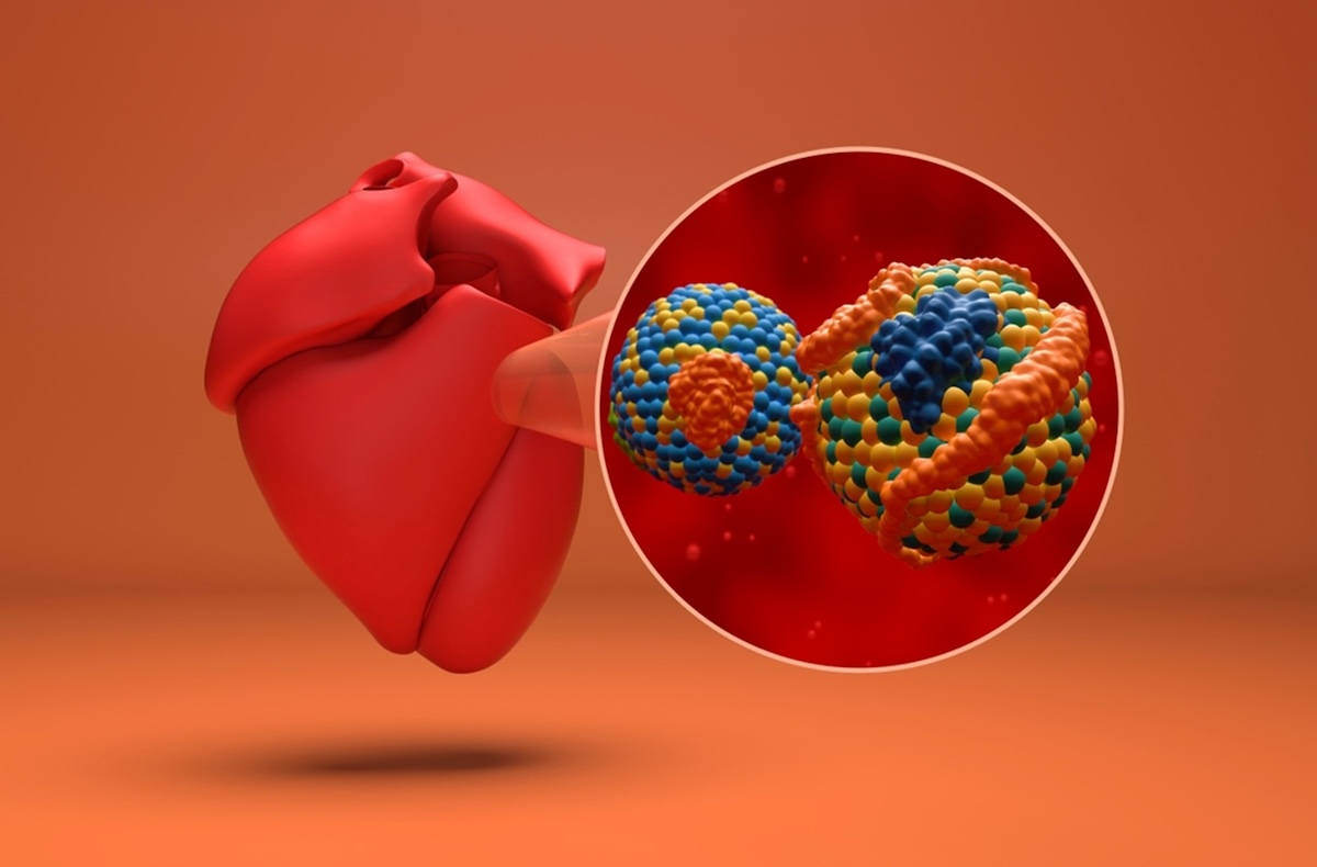 Lipoproteína A: qué es y cómo se relaciona con el riesgo cardiovascular